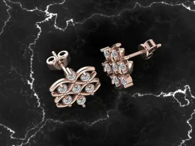 Earring Jewelry 3D print model