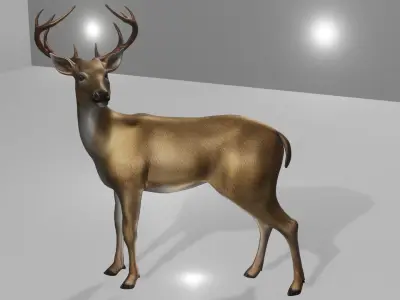 Deer realistic 3D model