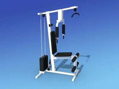 Weight Machine 3D model