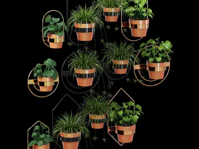 Wall Planters 3D model