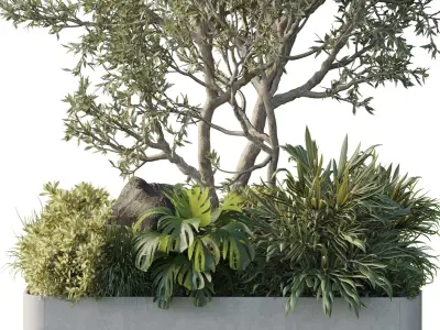 Stand plant in box garden - outdoor plant 178  Low-poly 3D model