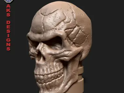 skull version 1 Penholder cum flowerpot 3D print model