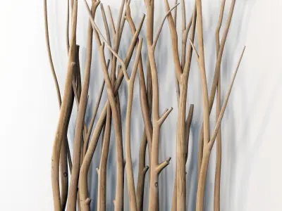 Branch old screen n1 3D model