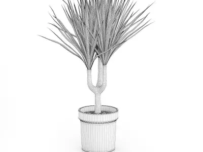 Palm Tree in Round Pot 2 3D model