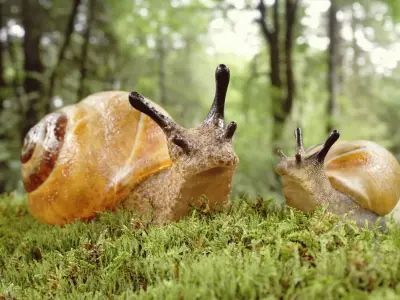 Snails Scene Low-poly 3D model