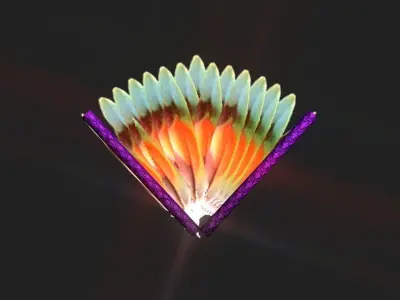 Another Colorful Decoration Fans collection Low-poly 3D model