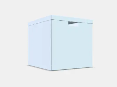 TJENA box with lid 1 3D model