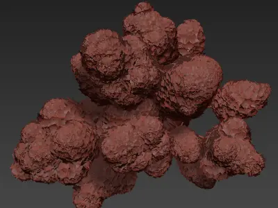 Flower In Vase   30 3D model