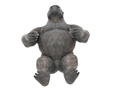 Gorilla 3D Model 3D model