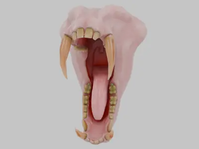 Monkey Mandrill Teeth Low-poly 3D model