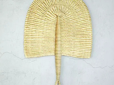 African Handwoven Fan 17 3D model