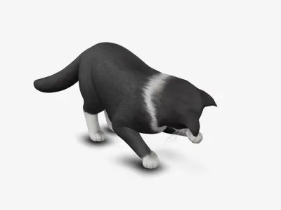 Cat Norwegian forest 3D model
