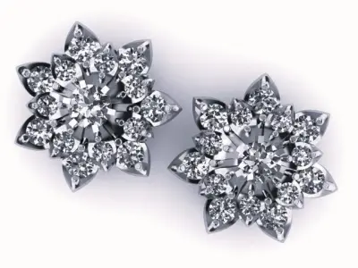 Earrings Free 3D print model