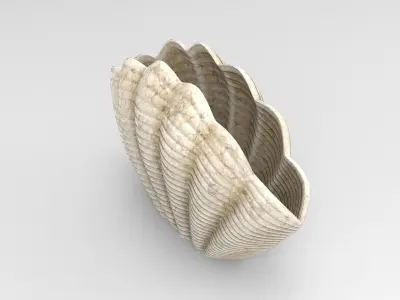 Seashell Vase Low-poly 3D model
