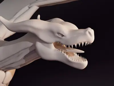 Anatomically accurate Dragon Base Mesh 3D model