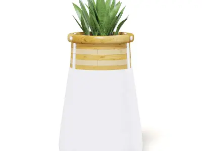 Plant 3D Model in Large Modern Pot 3D model purchase