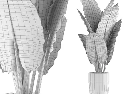 Plants Collection 88 3D model