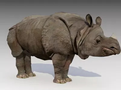 Asian Rhinoceros Animated Low-poly 3D model