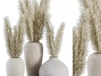 Indoor Plant SetV23 - Pampas old pot 3D model