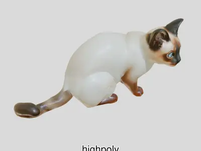 Realistic Siamese Cat 3D Model with Blue Eyes Low-poly 3D model