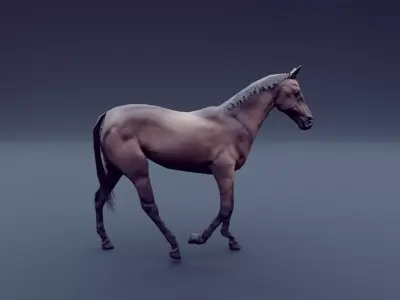 horse animated Low-poly 3D model