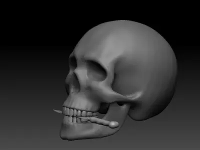 3D Printable American Football Helmet Skull Bubble Head 3D print model
