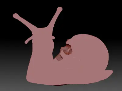 Snail skull 3D print model