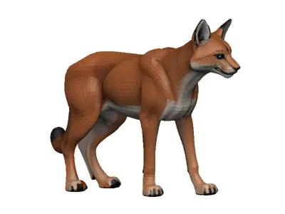 Caracal Low-poly 3D model