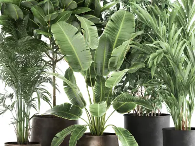 Houseplants in a rust flowerpot for the interior 978 3D model