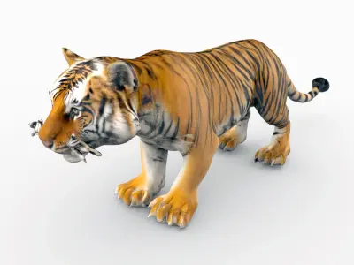 Bengal Tiger 3D Model  3D model
