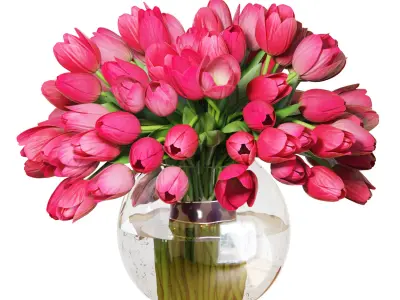 Flower Set 19 - Pink Tulips Bouquet 3D model