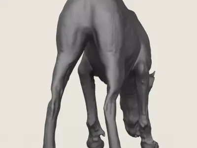 Doberman Dog Eating 3D print model