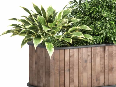 Indoor Plant Set 15 3D model