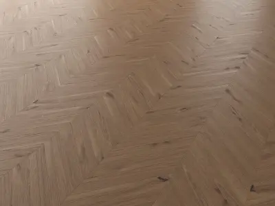 Parquet Oak Vergne Wild Wood set 1 3D model