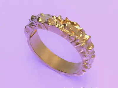 ring rock 3D print model