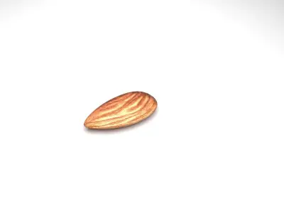Almond 3D model