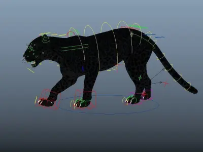 black panther Low-poly 3D model purchase