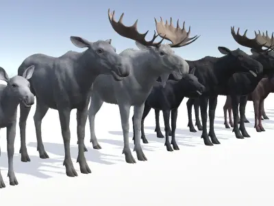 MOOSE FAMILY Low-poly 3D model