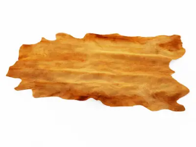 Brown Cowhide Rug 3D model