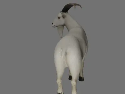 Wild Goat 3D model