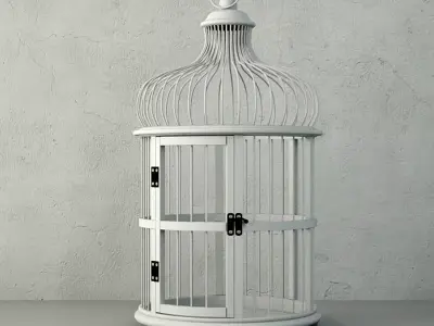 Belen Decorative Cage by ZARA HOME 3D model
