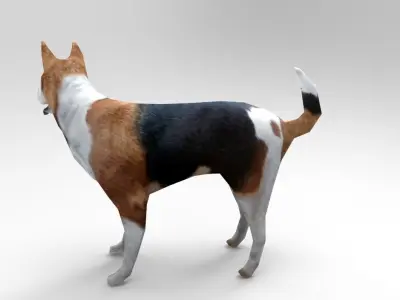 3D dog rigged  animated game ready low poly Low-poly 3D model