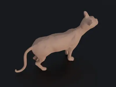 Sphynx Cat Low-poly 3D model