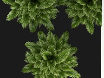 Plants collection 107  3D model