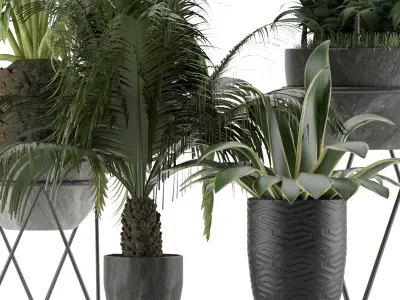 Plants Collection 22 3D model