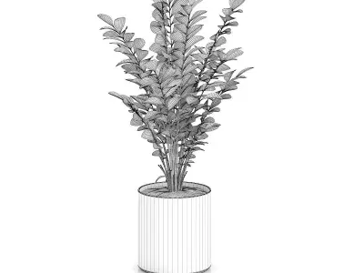 Plant in Round Pot 3D model