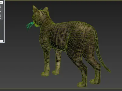 Cat-- tabby cat with eyes 3D model
