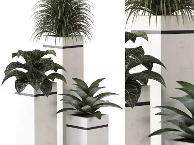 indoor plant 05 3D model