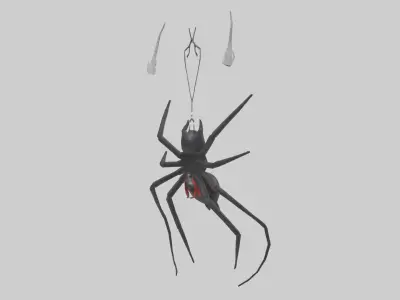 Black Widow Spider hanging model 3D model
