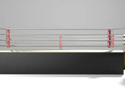 Ring Arena - 5 sided 3D model